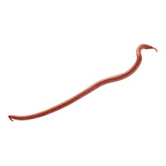 Berkley Gulp Extruded Earthworms Red