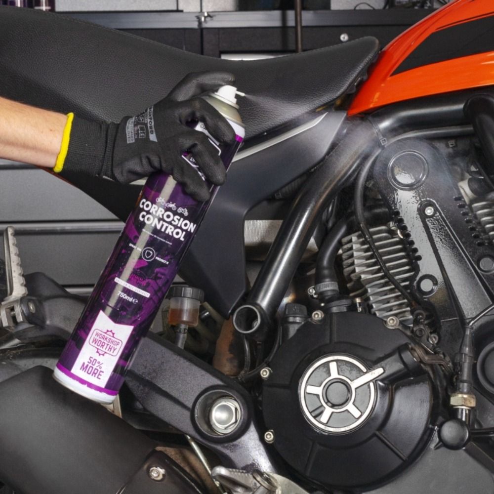 Mint Corrosion Control - 500ml