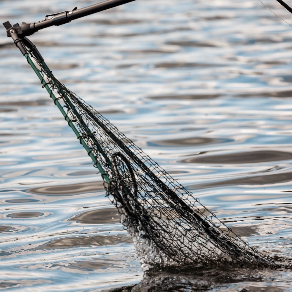 Snowbee Telescopic Folding Landing Net - XL